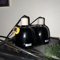 reptile light 