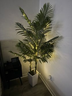 Palm Tree Faux 6ft