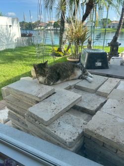 Travertine Pavers