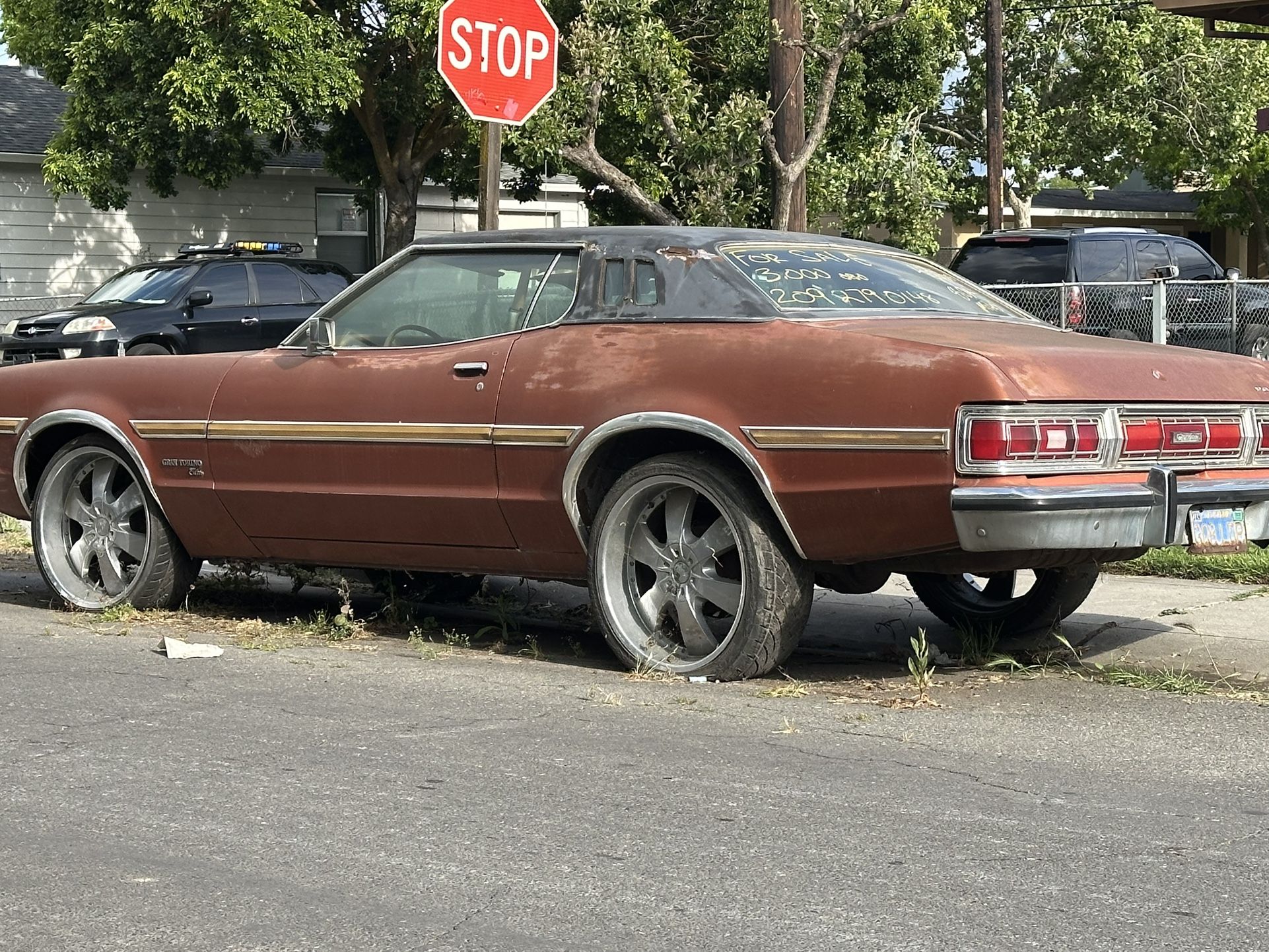 74 Grantorino Élite