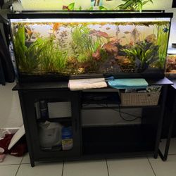 55 Gallon Aquarium