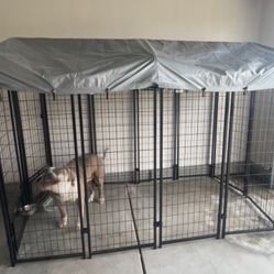 Dog kennel 