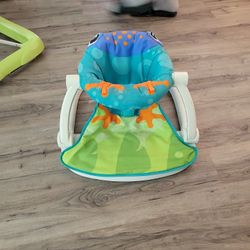 Infant Seater