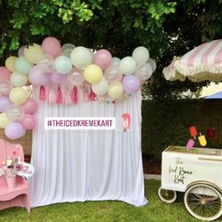 Ice Cream Paleta Cart