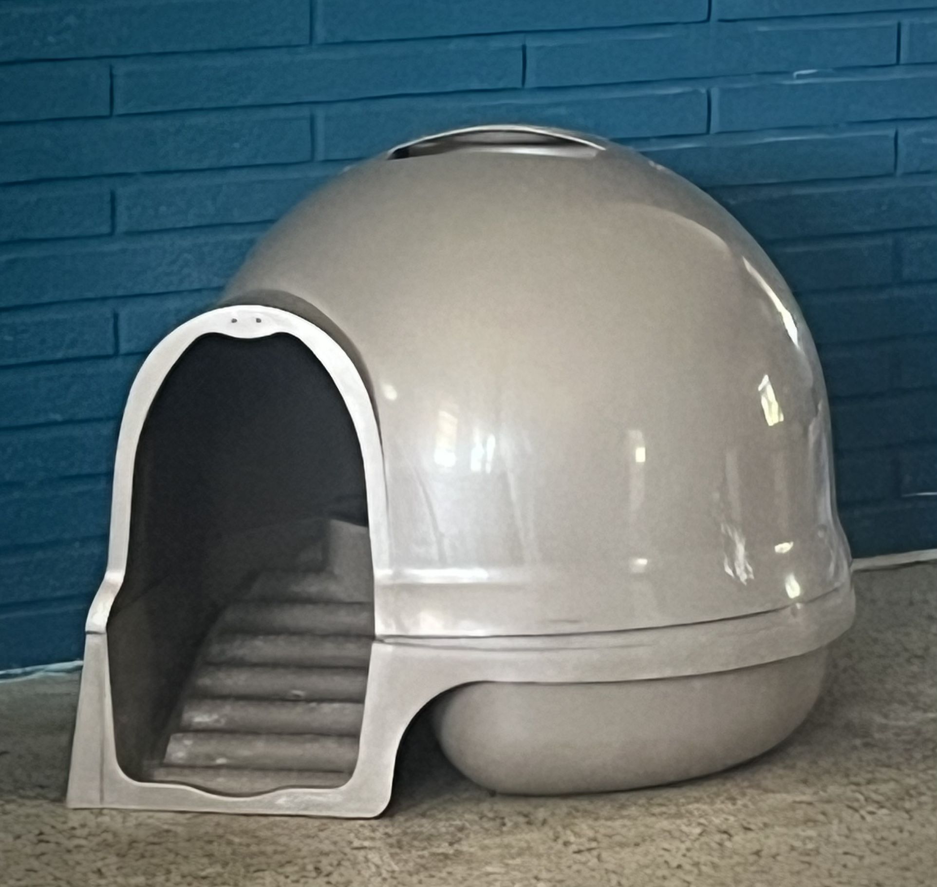 Cat Some Litter Box