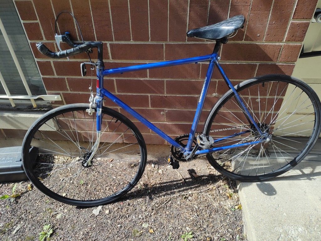 Large Size Electric Blue Singlespeed Road Bike w/ bullhorn/ freewheel