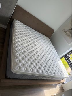 Eastern Standard King Room & Board Hoffman Bed Frame + Mattress