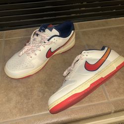 Nike Dunks Retro Size 10
