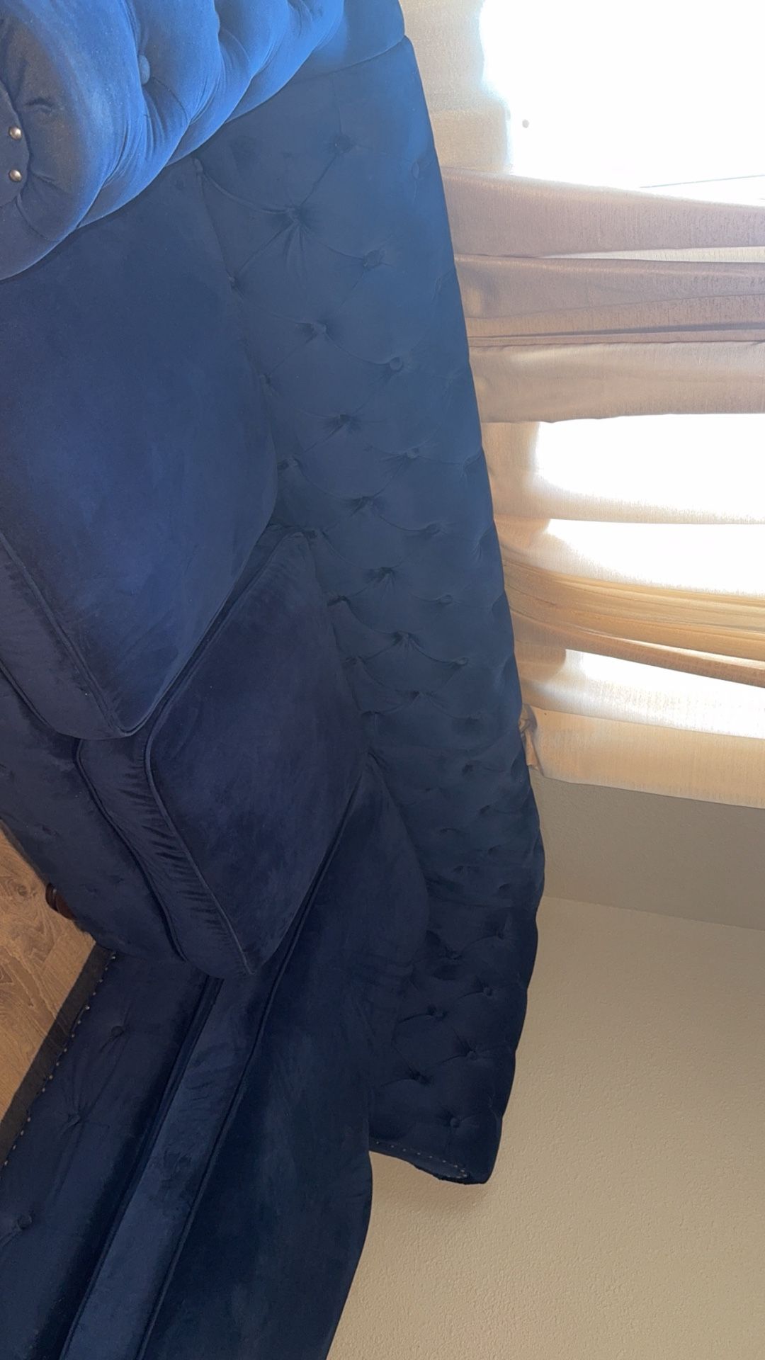 Velvet Couch