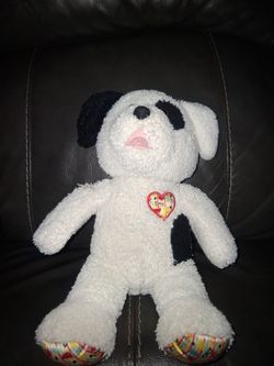 Teddy bear dog