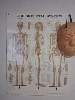 Skeleton poster