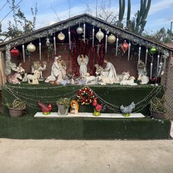Nacimiento Todo Completo