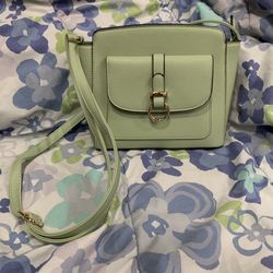 Sage Green Purse