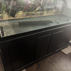 100 Gallon Aquarium Tank 