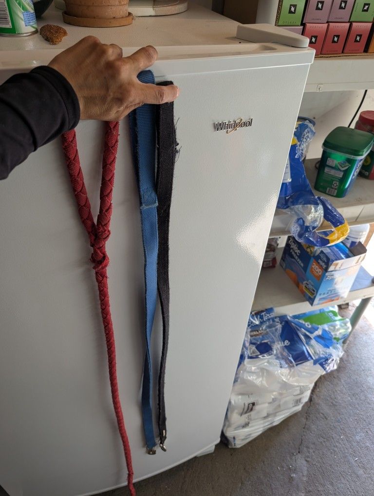3 Dog leashes, collar, gentle leader--free