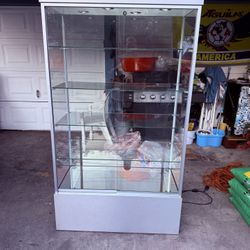 Exhibidor Vitrina Mostrador 