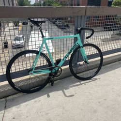 Tsunami Smm 100 (celeste)