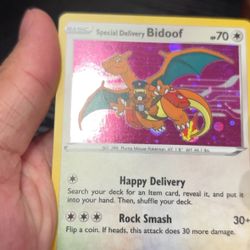 bidoof special delivery charizard