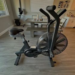 Rogue-bike