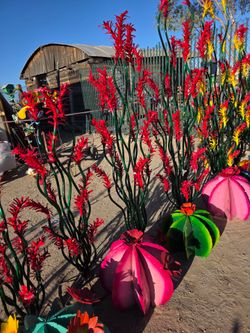Ocotillos, desert beauties🌵Metal Art & Planters