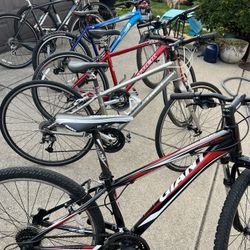 Trek Giant Specialized