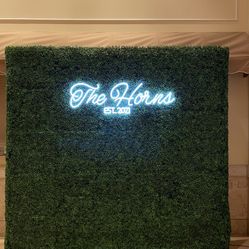 Wedding Or Shower Wall