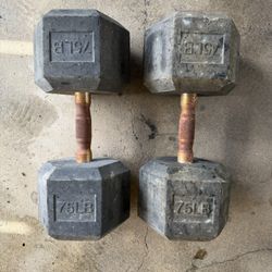 75lb Dumbbells 