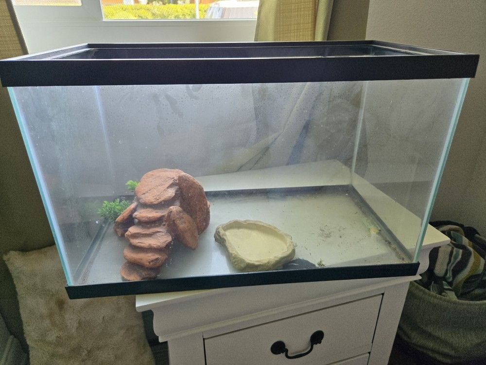 10gl Fish Tank