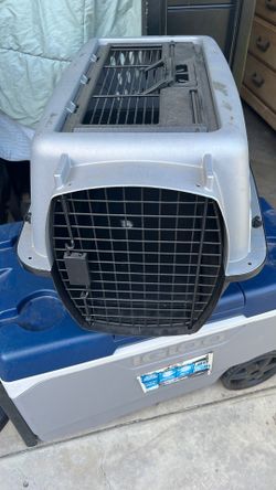 Case dog