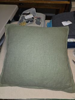 Crate and barrel organic Laundered Linen  Sage and tan. 22" square.  0716310