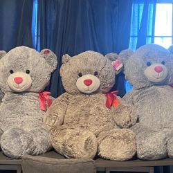 Teddy Bears Jumbo Size