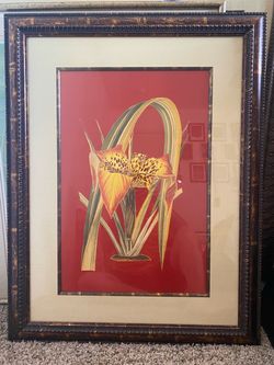 Tiger Lily (Framed Botanical Flower Print Wall Art) Art