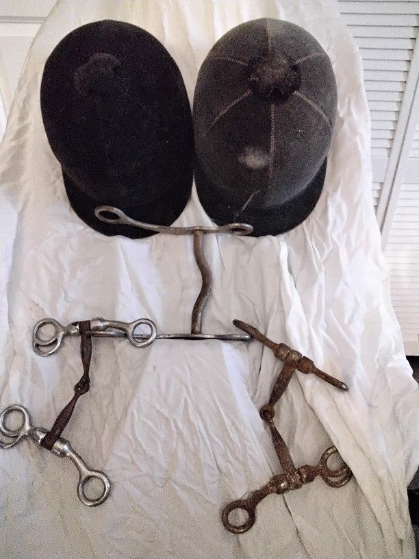 HORSE TACK BRIDLE EQUIPMENT 'PRICE REDUCED '
