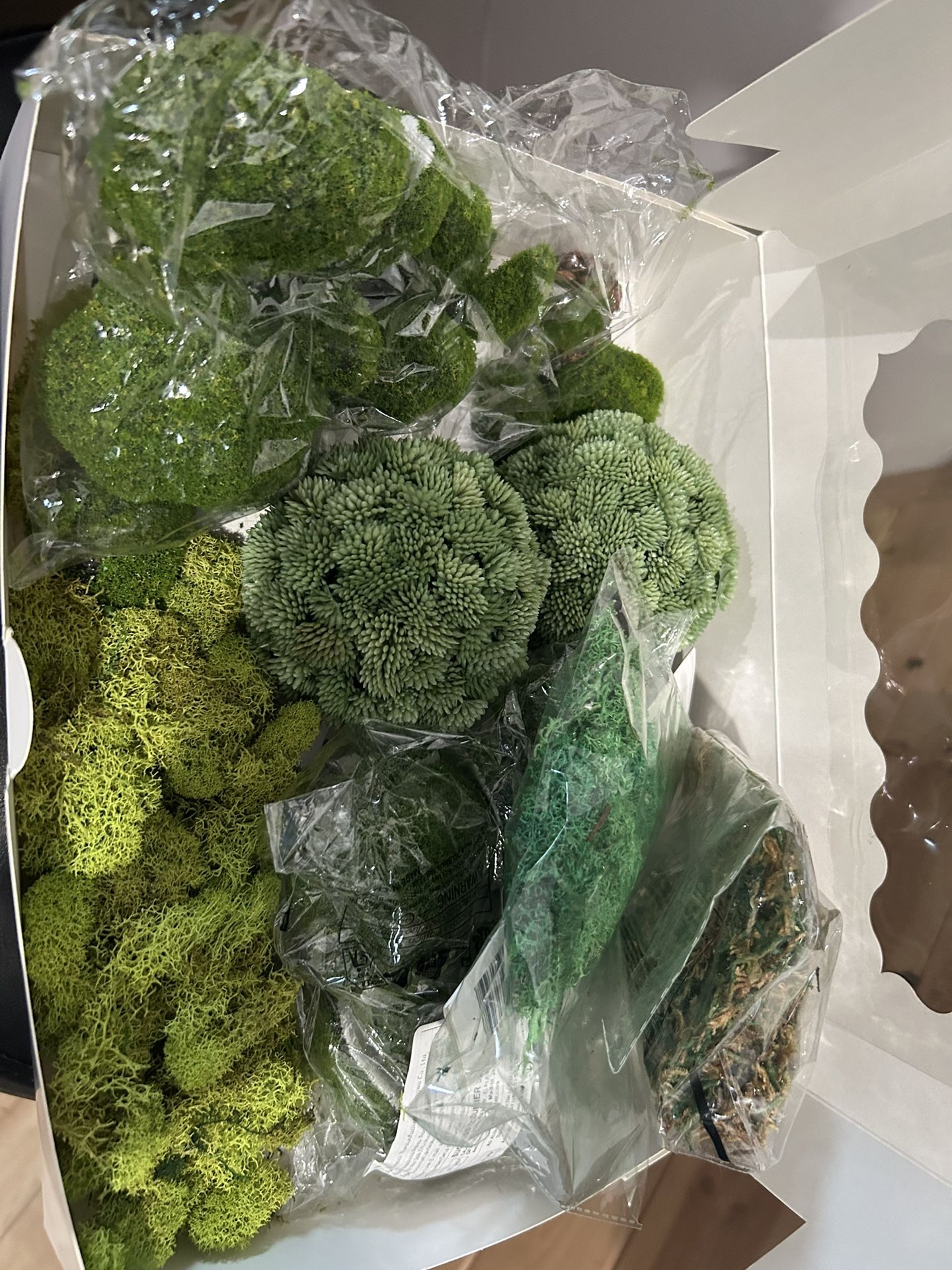 Greenery Moss, Rocks And Mini Trees