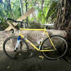 50cm - Tommaso - Fixie Road Bike - Carbon/Alloy