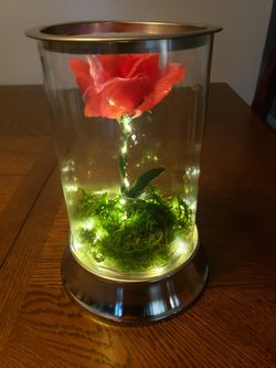 Forever Rose. Light Up Flower