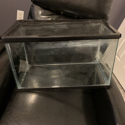 10 Gallon Tanks And Lid