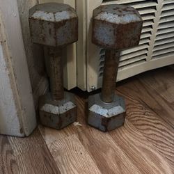 10 Pounds Weights 