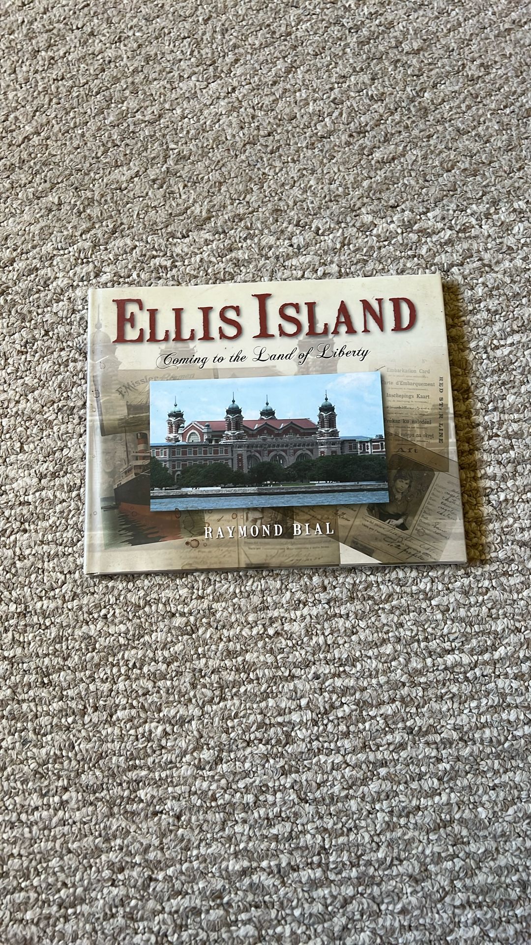Ellis Island by Raymond Bial