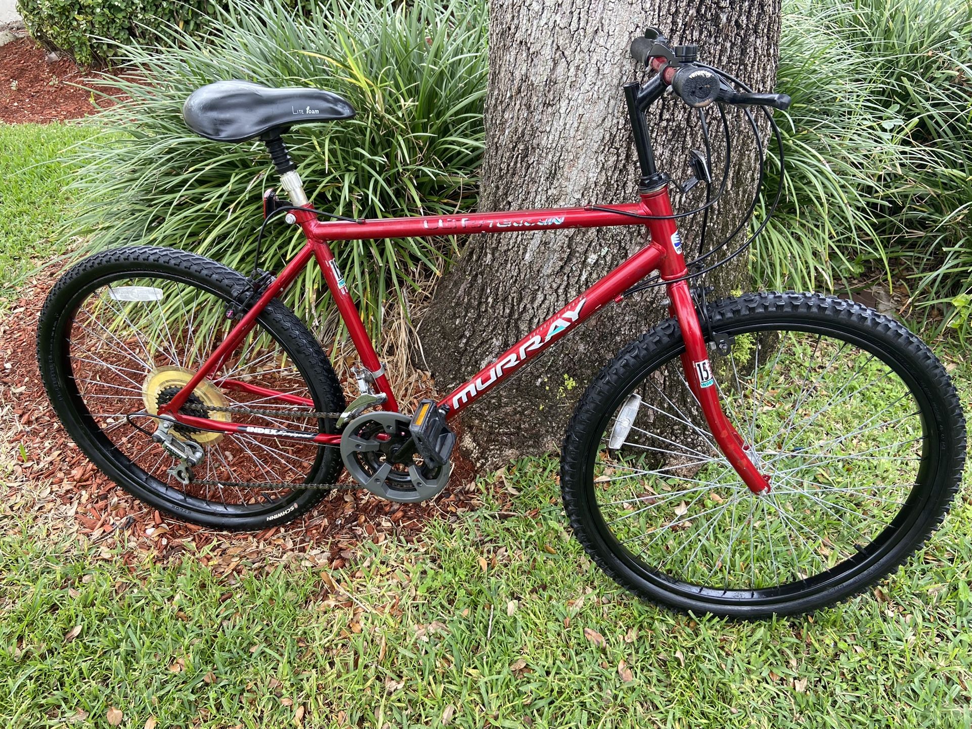 MURRAY 15 SPEED MOUNTAIN BIKE. EXCELLENT CONDITION 🚲