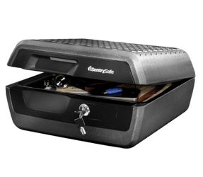 Sentry safebox