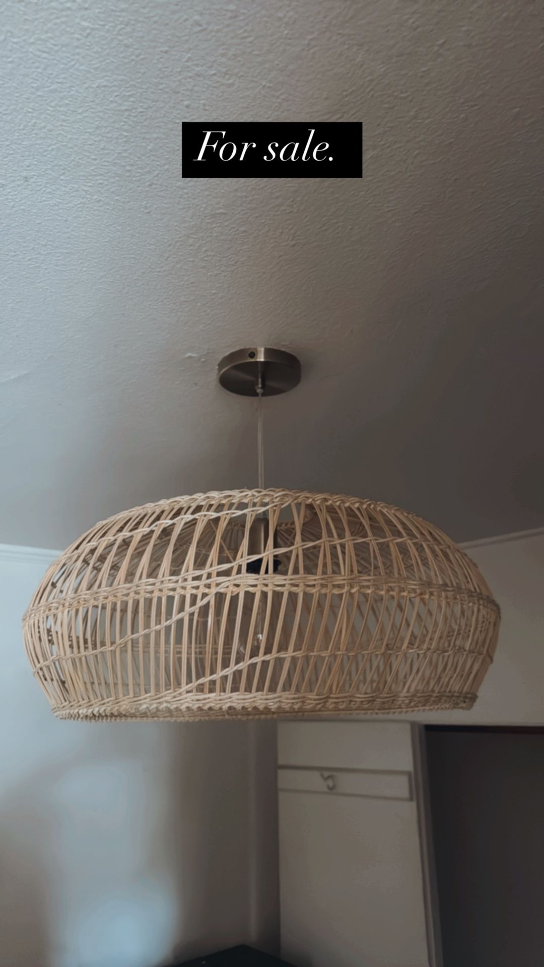Light Fixture