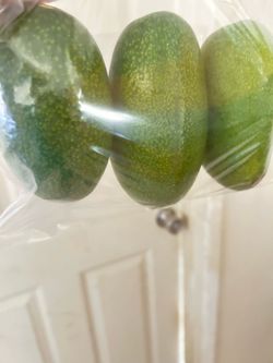 Fresh Avocados Bag of 3