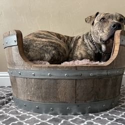 Wine Barrel Dog Bed