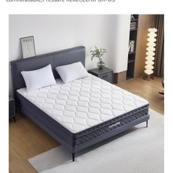 King Mattress + Metal Bed Frame