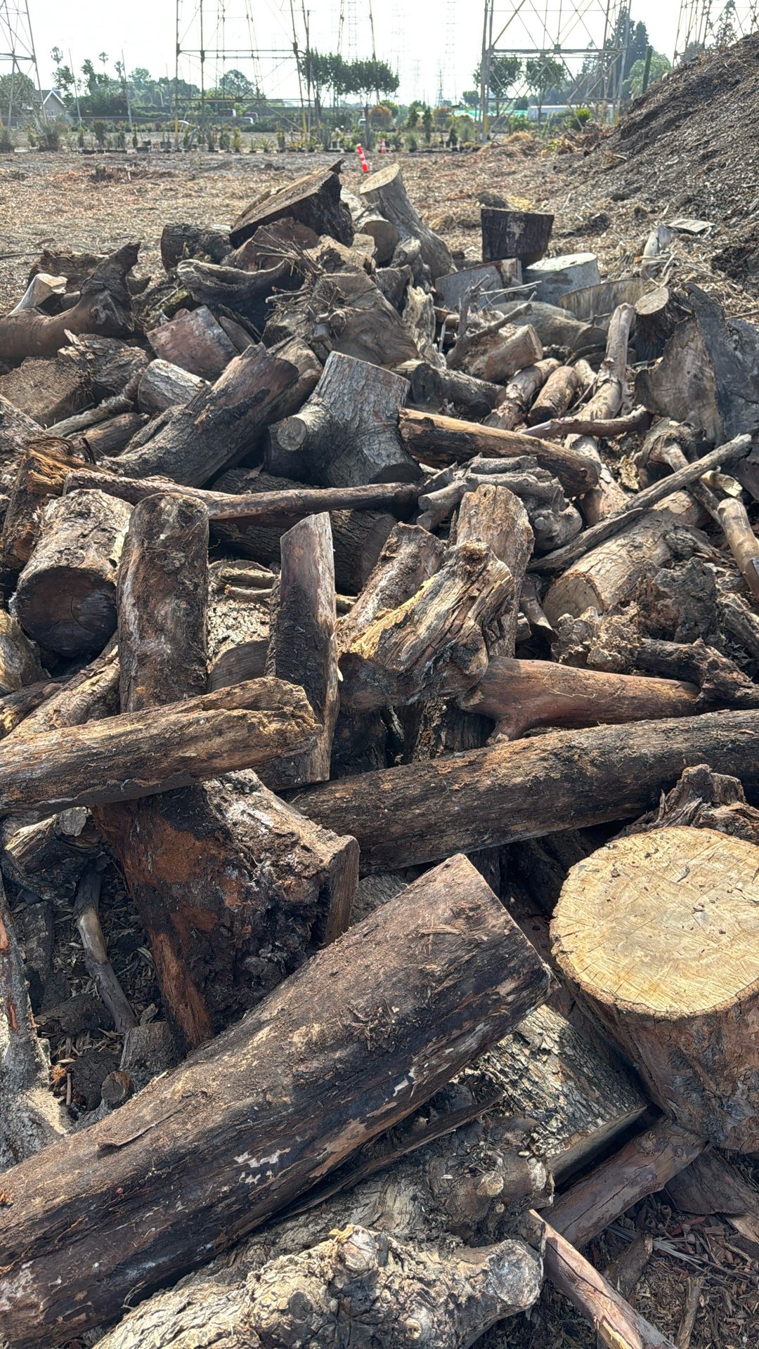 Free Firewood Logs
