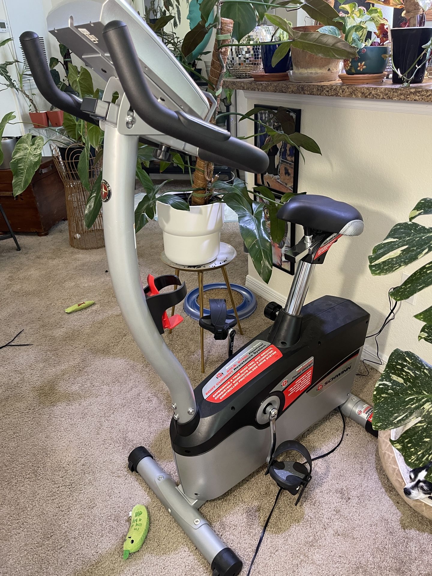 Schwinn exercise bike