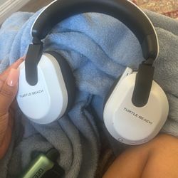 Turtle Beach