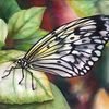 Nancy Tilles