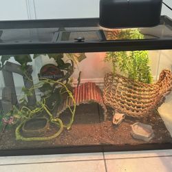 Reptile Terrarium